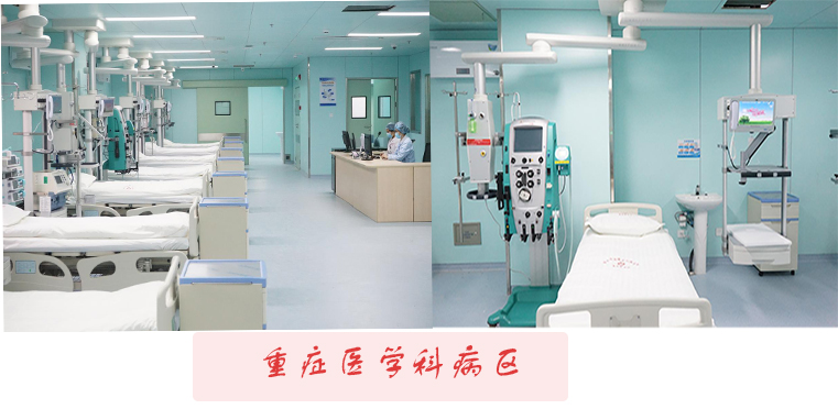 重症.png 重症.png