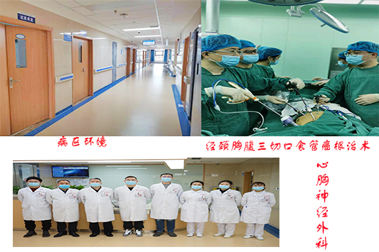 心胸.png 心胸.png