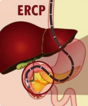 图片15.png 图片15.png